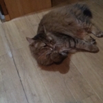 Thumbnail of post image 167